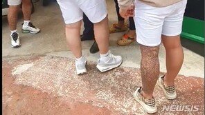 조폭 동원 35억대 가파도 부동산 갈취 시도한 5명 실형·6명 집유