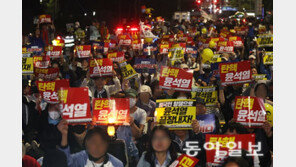 개딸들 “수박과의 전쟁” 명단 공유…일부 “민주당사 불지르자”