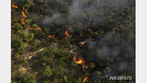 브라질 북동부,  늦겨울 이례적 강풍과 고온에 거센 산불 확산