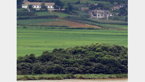 북한, 8월 對中 수출 최다 품목은 가발… 1800만달러 규모