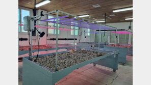 [농업이 IT(잇)다] 제로나인메트리얼 “삶의 질 높일 LED·PBM 선도화”