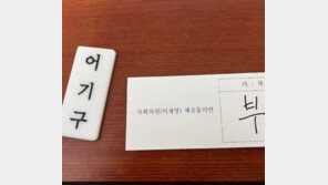 어기구 ‘부’ 표결 투표지 공개…개딸 “이 정도는 해야” 魚 “당원 안심시키려”