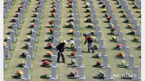 박민식, 추석 앞두고 대전현충원 고 채 해병 묘소 참배