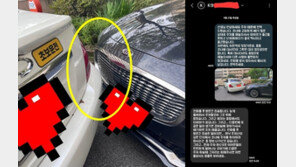 코너 주차한 민폐 차주…차 못뺀 이웃에 “다음엔 딴 곳 세워라” 적반하장