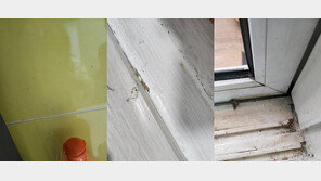 “입주청소 사기당했다”…창틀마다 먼지 가득한데 24만원 추가 요구