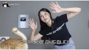 조민, 실버버튼 공개 영상 돌연 삭제…“정부 신고로 한국서 못 본다”