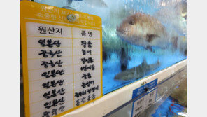 2차 방류 후쿠시마 오염수서 방사성 핵종 검출…日 “기준은 만족” 