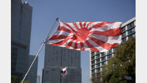 ‘조센징’ 욱일기든 행인 폭행…40대 탈북자에 징역 3년 선고