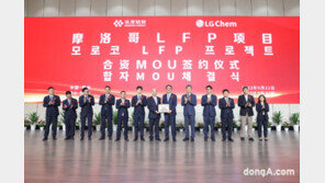 LG화학, 中 업체와 북미 공급 LFP 양극재 사업 협력… “중국 업체 美 우회 진출 괜찮을까”