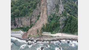 3만t 와르르…울릉도 대규모 산사태, 추석 앞두고 도로 막혀
