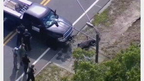 “4m 악어가 여성 시신 물고 다닌다”…美 경찰 출동해 사살