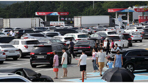 기가 막힌 ‘떡꼬치 4300원’…추석 고속도로 휴게소 패싱해?