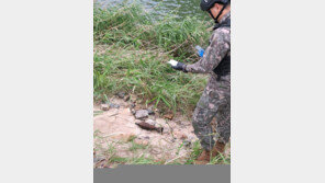 다슬기 잡다가 ‘81㎜ 박격포탄’ 발견…경찰·군 수거 조사 중