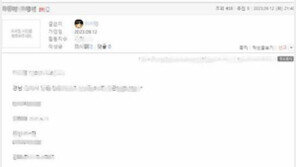 “오빠 벌주려고”…자신에 대한 살인 예고글 올린 20대 구속