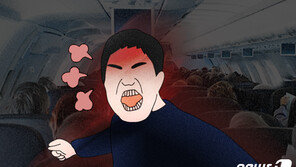 “빈자리잖아!”…항공기 운항 중 맨 앞자리 멋대로 차지한 난동남