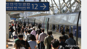 명절 암표단속 건수 ‘0건’…적발에 손놓은 철도운영사