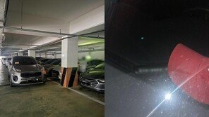 택시 앞 이중주차해 놓고 잠수 탄 차주…“얼마면 되냐” 적반하장