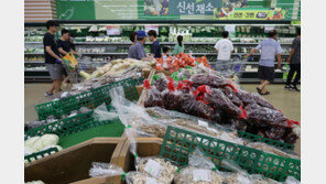 정부 “20개 추석 성수품 물가 전년보다 6.2%↓…물가 안정 최우선”