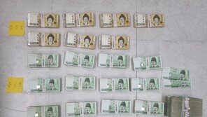 신종 피싱… 자녀 사칭해 앱 깐뒤 온라인쇼핑몰 환불로 5억 챙겨