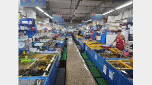 “환급 안된다니까 안 온다”…부산 수영구 민락회센터 손님 끊긴 까닭은