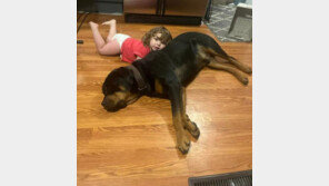 “개 타고 이동했나?”…실종 4시간만에 4.8km 떨어진 숲에서 발견된 美여아