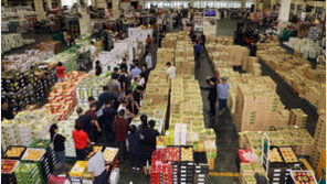 추석 앞둔 농산물 경매장 북적 