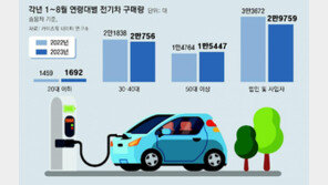 4550만원 전기차 아이오닉5, 4070만원에 살 수 있다 
