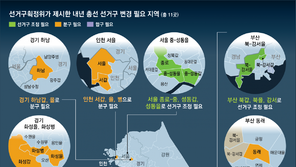 [단독]“종로-중구, 총선 선거구 합쳐야… 31곳 조정을”