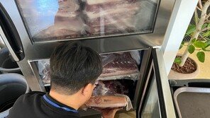 외국산 오징어 국내산으로 속인 제주 SNS 맛집 등 적발