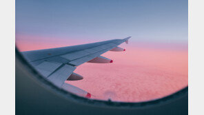 비행 내내 자는 줄 알았던 여성 승객 사망한 상태였다…심장마비 추정