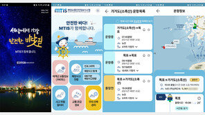 추석 연휴 최장 6일··· 알아두면 좋은 ‘의료·반려동물·교통·통신 대책’