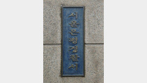 서울 은평구서 흉기 들고 ‘자해 난동’ 50대 여성 검거