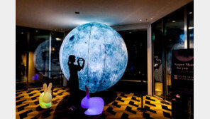 쇼핑몰로 보름달 구경 오세요~ 여행 안 가도 즐길 거리 풍성 