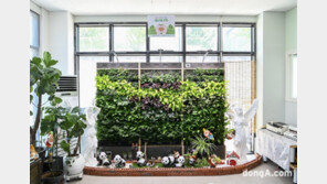 한국 코카콜라, 아동복지시설 27곳에 ‘실내 숲’ 조성