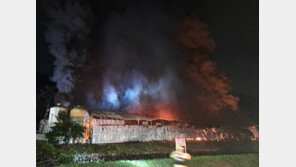 강릉 양계장서 불…닭 1만 7000마리 폐사