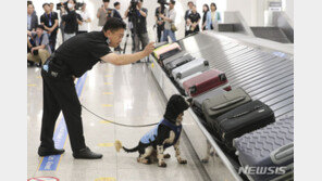 ‘항공우편 필로폰 밀수 시도’ 30대…항소심도 징역형