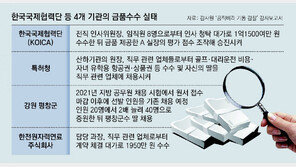 1억 뇌물수수 눈감은 코이카… 군수 딸 뽑으려 채용 늘린 평창군