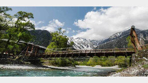 “곰 내려온다”…日나가노 관광하던 한국인 남성, 곰 습격으로 중상