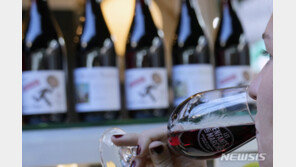 수영장 860개 분량 못팔아…호주 와인 시장 “사실상 붕괴”