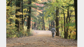 “오늘부터 나흘 간 국립공원 주차장 무료”…내수 지원 추진