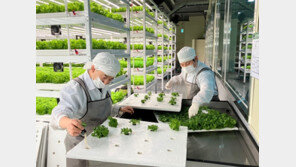 “최저시급 받던 장애인 가족이 공동대표가 됐습니다”