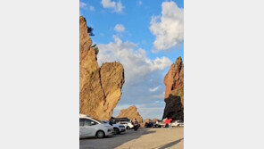 울릉도 거북바위 머리 부분 붕괴…관광객 4명 다쳐