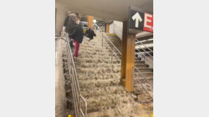 뉴욕, 폭우에 속수무책… 도로 물차고 나서야 “홍수 위험” 