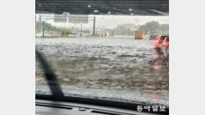 잦은 폭우에 뉴욕 속수무책…주지사 “홍수가 뉴 노멀”
