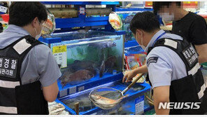올 상반기 일본산 수산물 원산지 표시 위반 145건…지난해 전체의 2배 넘겨