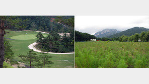 “北, 금강산 골프장 부지서 옥수수 건조”… ‘무단 철거’ 뒤 방치