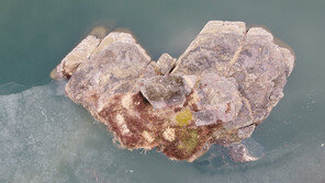 “경남 의령서 부자 기운 받아가세요”… 리치리치페스티벌 열려