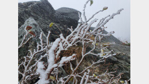 내일 아침 올해 첫 서리·얼음 가능성…평년보다 빨라