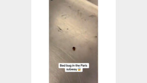 프랑스 파리, 2024년 올림픽 개최 앞두고 ‘빈대 패닉’에 빠져