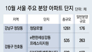전국 아파트 4만6000채 분양… 청약 온기에 대기물량 쏟아져 